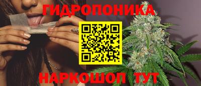 бошки Камышлов