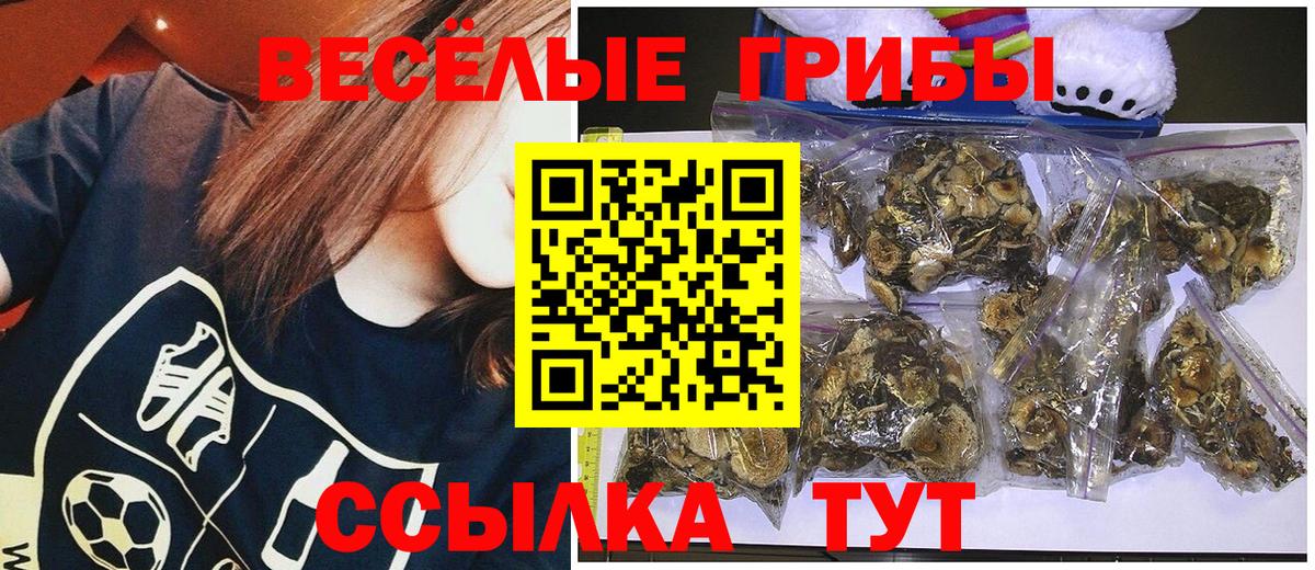 Лесозаводск  ГАШИШ  Конопля  Вход с VPN  ГАШ  МЕФ кристаллы  Мефедрон 