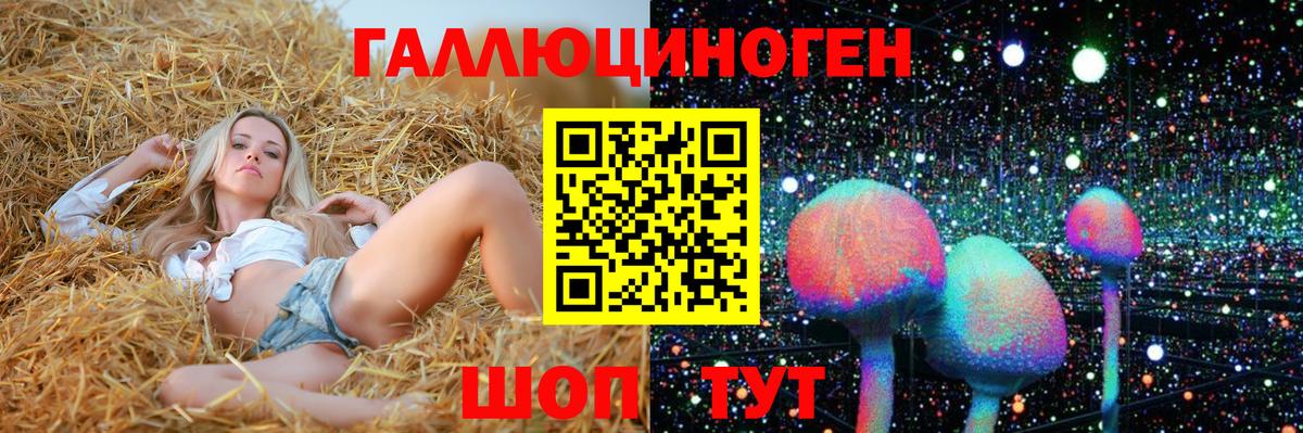 Псилоцибиновые грибы Psilocybine cubensis Лесозаводск